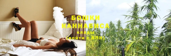 соль ск Белокуриха